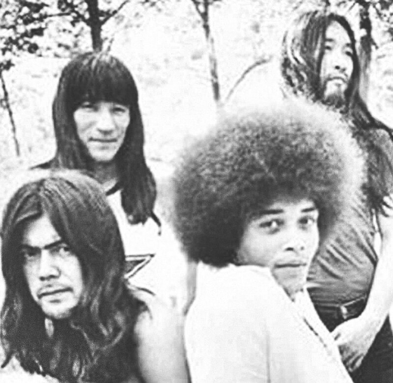 Flower Travellin Band 0